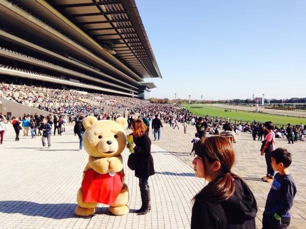 TED at Fuchu Race Track2