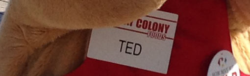 TED that foul mouth, talking bear?