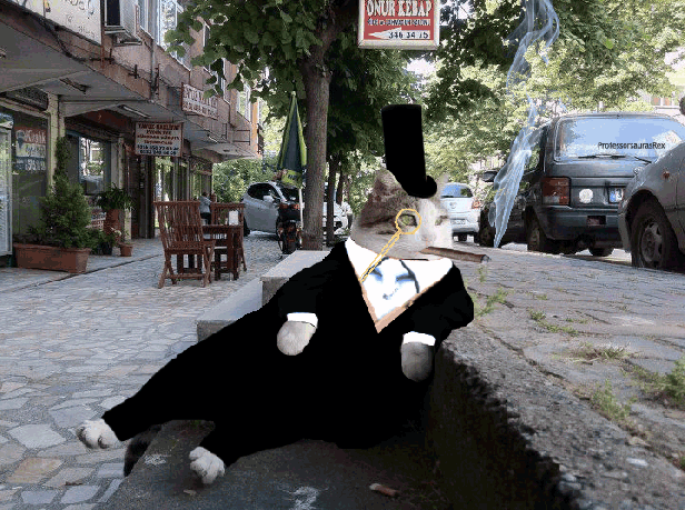 You thought I just pulled that out of my ass though, didn't you?